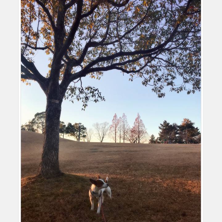 D93c069d ce3f 4021 94a6 dd20ac8789d5 1513848593945