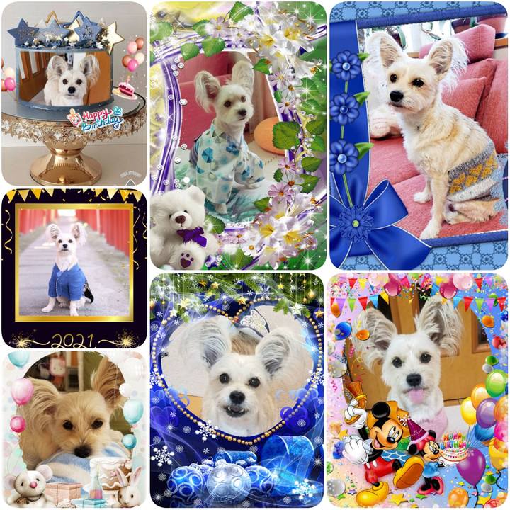 D93c06c8 2d88 4868 a1b8 962786421d41 1611005655414