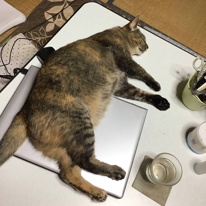 D93c11c9 0dc2 4dfb a5a6 47eae5c7ba61 1685365472579