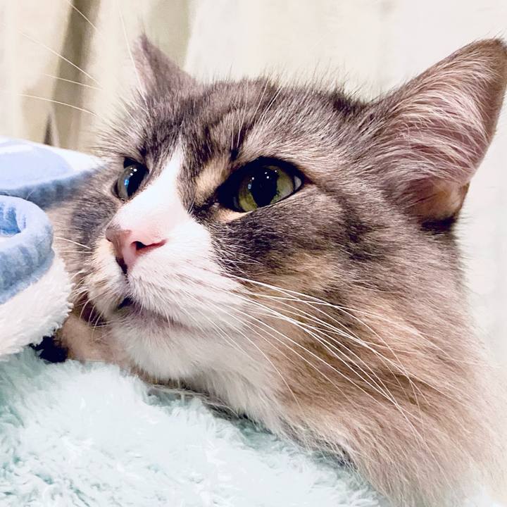 D93c4046 dede 41ff 8657 89a4f1f1436a 1764948331662