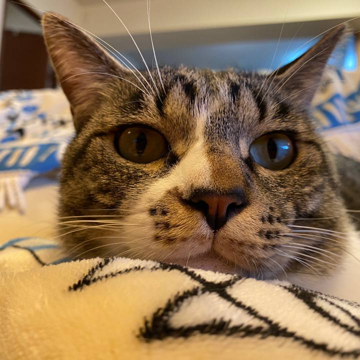 D93c4955 9491 40dd a7f1 1d1e79328d17 1697210357335