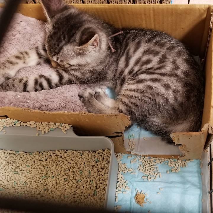 D93c5ccb a7b6 4da6 83b1 f63d233c25ad 1663978280530