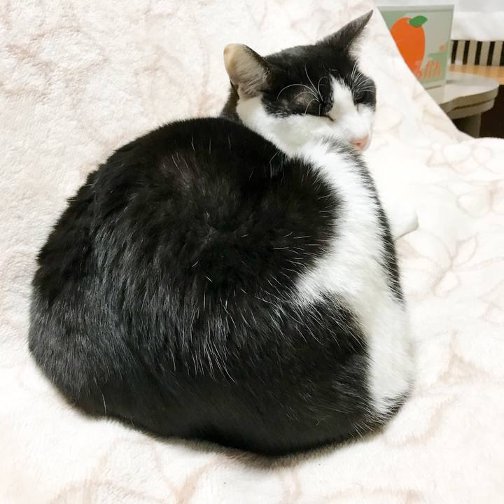 D93c5e7d 0008 43d9 9f89 d4444d1d6219 1523286705456