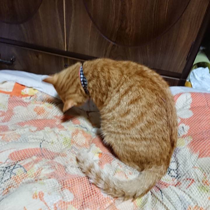 D93c6955 c245 4d9b 87d6 79f848ae75a7 1570900818655