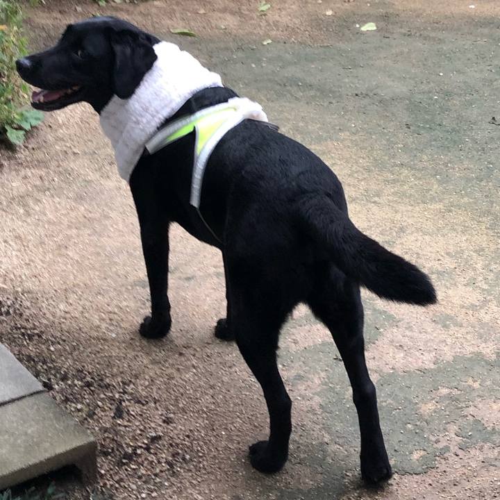 D93cb6b6 adc5 4079 964a f7b913b3e44a 1631147857978