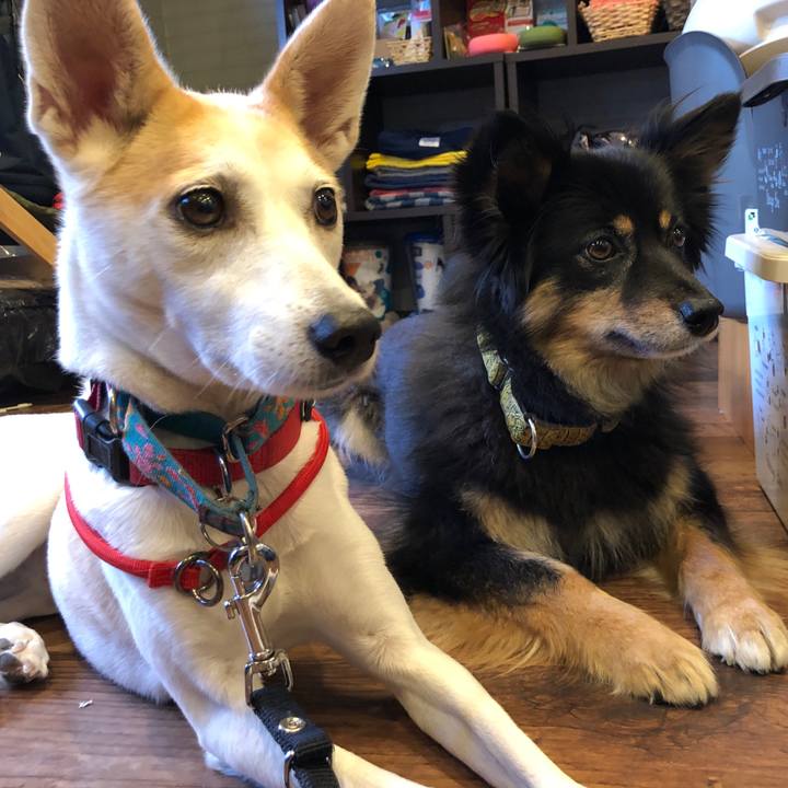 D93cd9ee e764 479c a2a2 d0253333a156 1604490318408