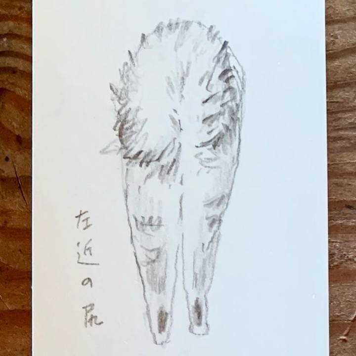 D93cefa0 eb39 4196 9dfd 602fdbffaa66 1602685700967