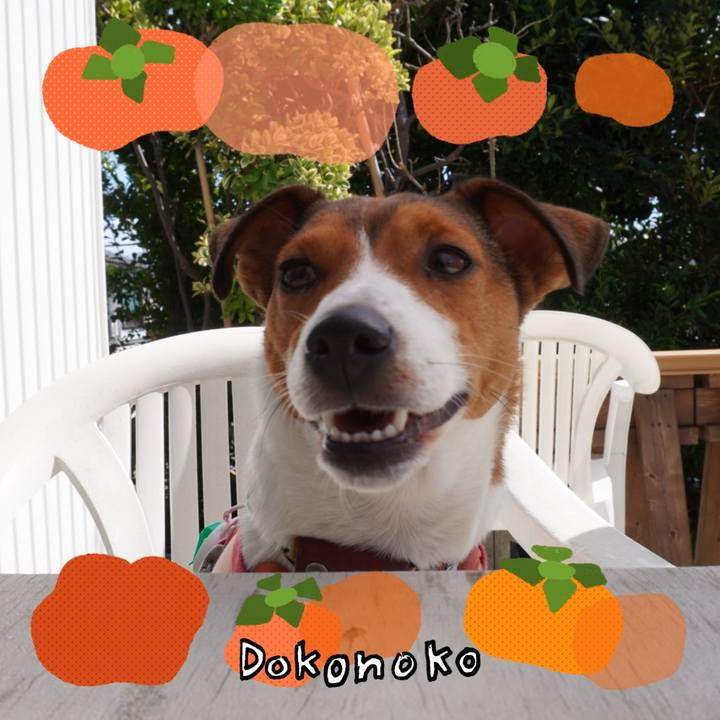 D93cf094 7211 49ec a10c 71404364a342 1761137110988