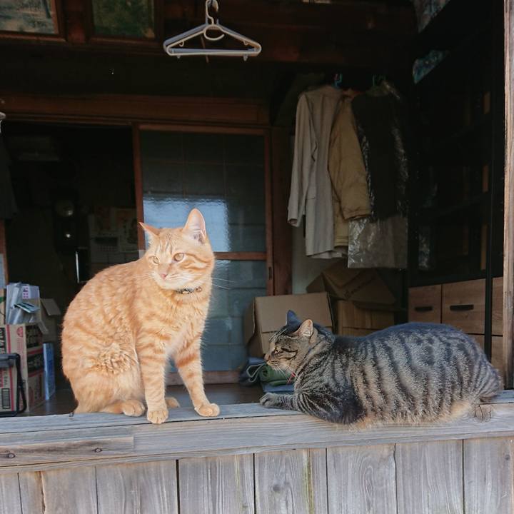 D93d4fbe 88f1 4154 9827 df24656a7371 1662280168020