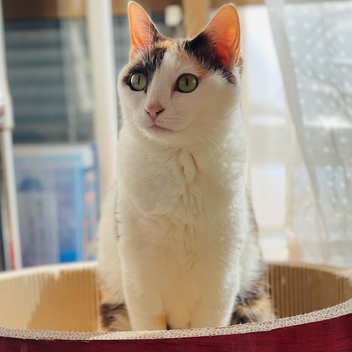 D93d530e 1ce7 4499 9a9e 37a33cfbab56 1651718009485