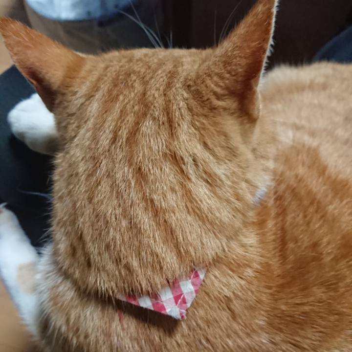 D93d53ed d0c7 48ed 9ac2 ea23f5e71f69 1603188313324