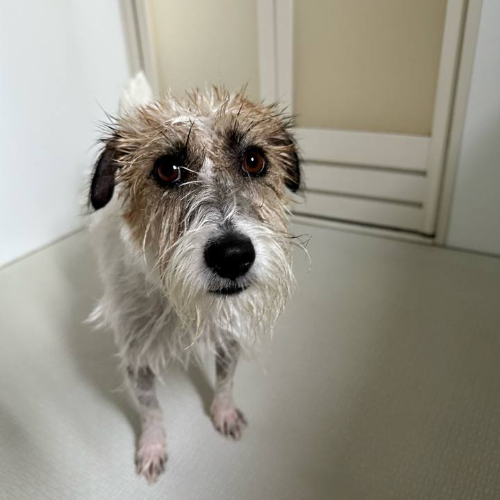 D93d55b6 1d96 41e1 87cc ae1b027387e7 1691241087538