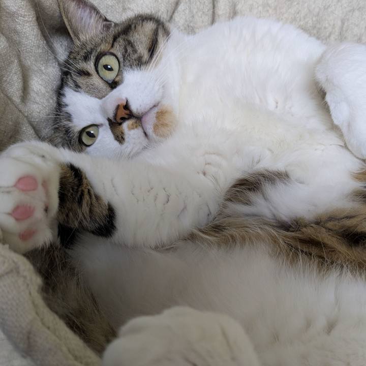 D93d917c 6cef 481d 8b13 24d4438fcedb 1774696428367