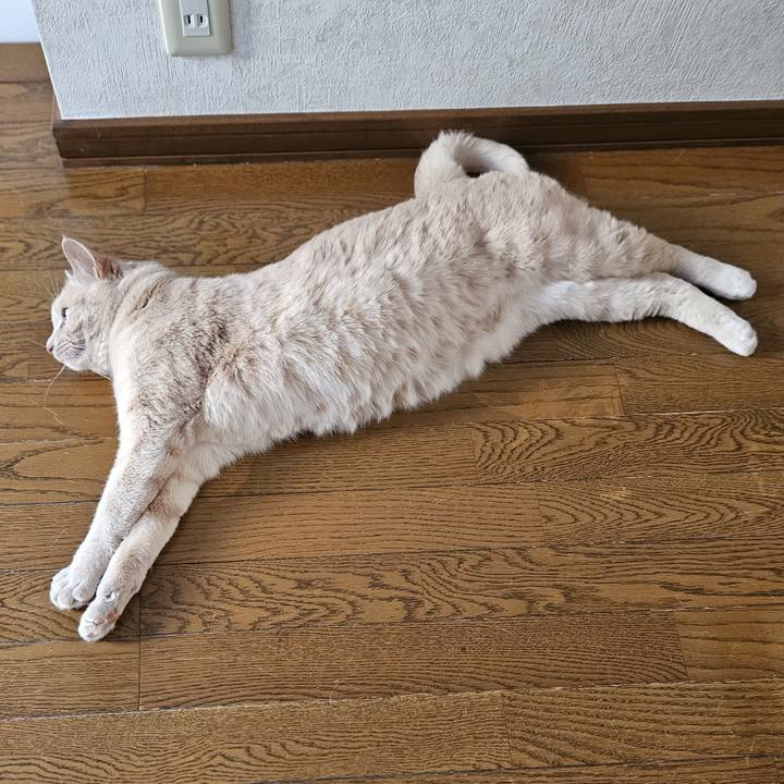 D93d9b39 3108 43d7 9fd9 07819f410d8d 1751699713427