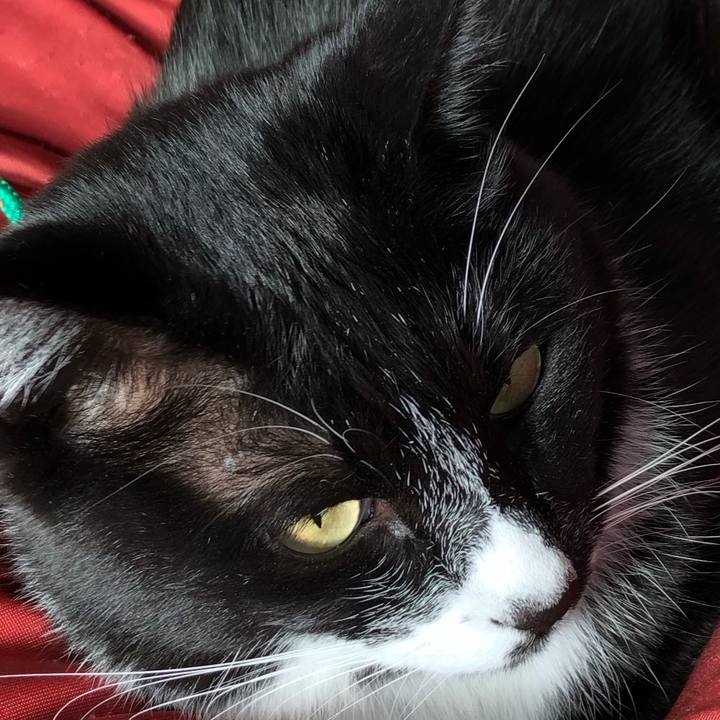 D93dea9e 3a77 4110 9199 f90ac6bf2729 1639260655163