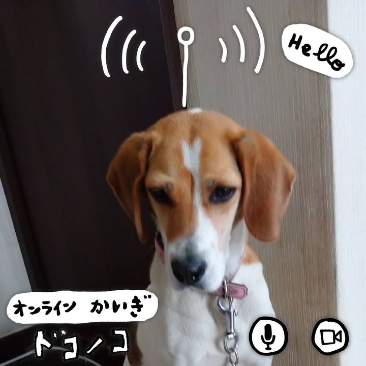 D93df2d8 1e20 4322 9836 aaa6bcfb2396 1593240925955