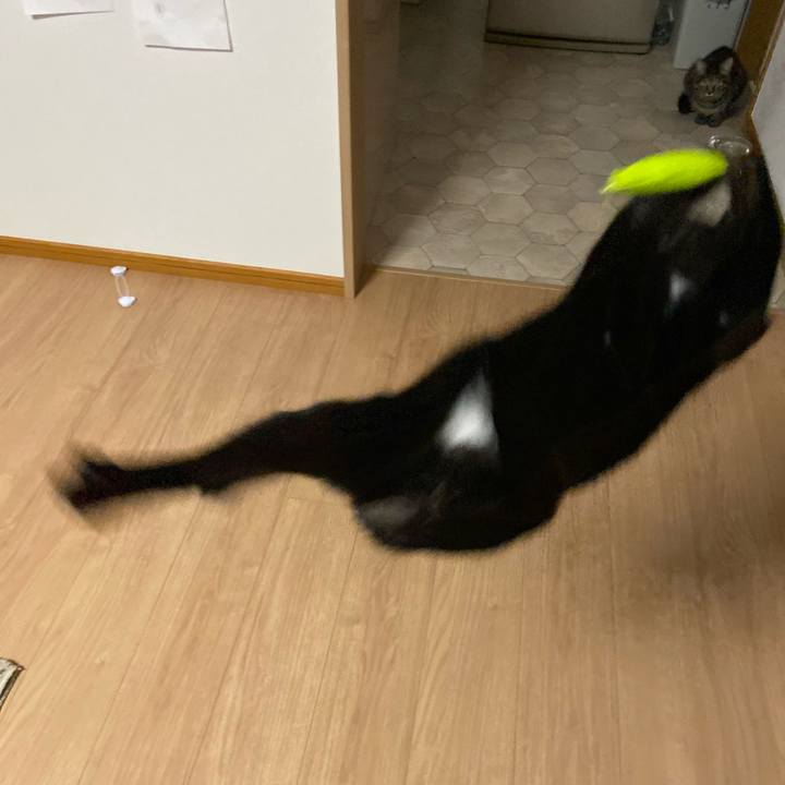 D93e2f78 b5bc 451d be22 5f9f113c159d 1618830943926