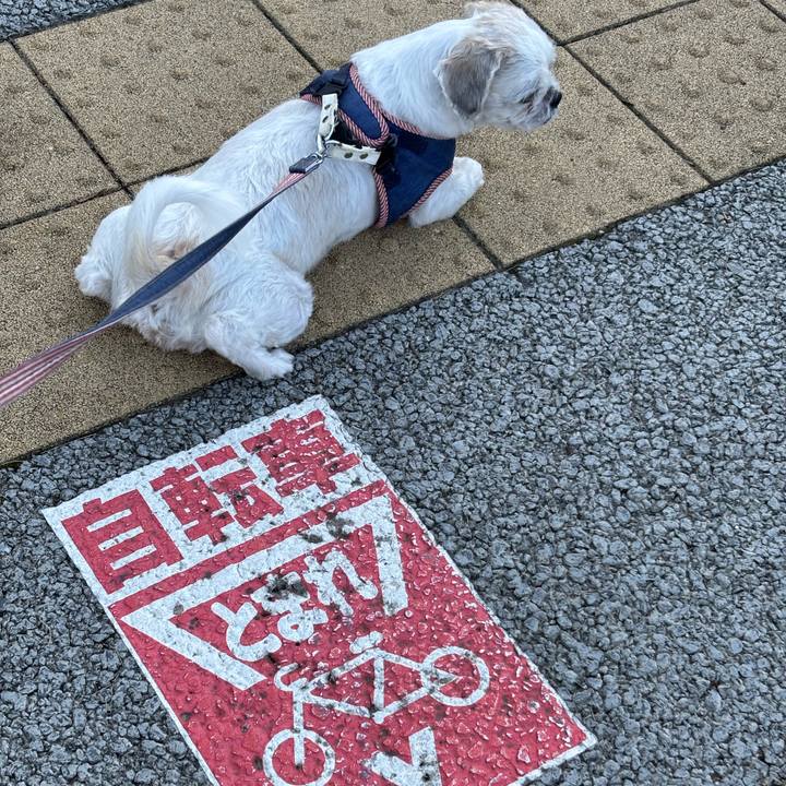 D93e4420 c4e0 42b8 87ad 874a548cb60d 1757281421459