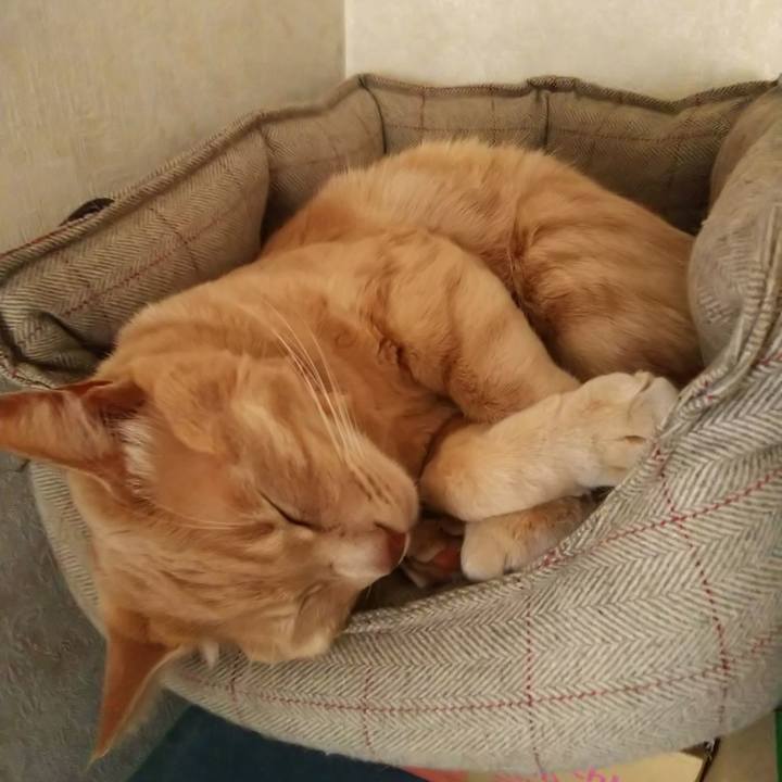 D93e52f0 98b4 46d6 8654 a92feca65481 1605333987731