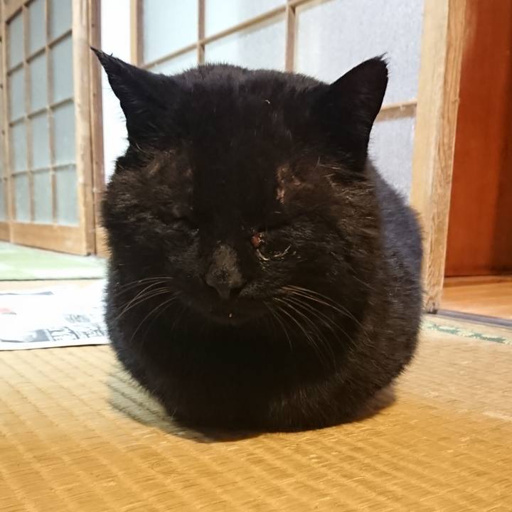 D93e5319 34a5 4cf1 919f ba351b472614 1616585795193