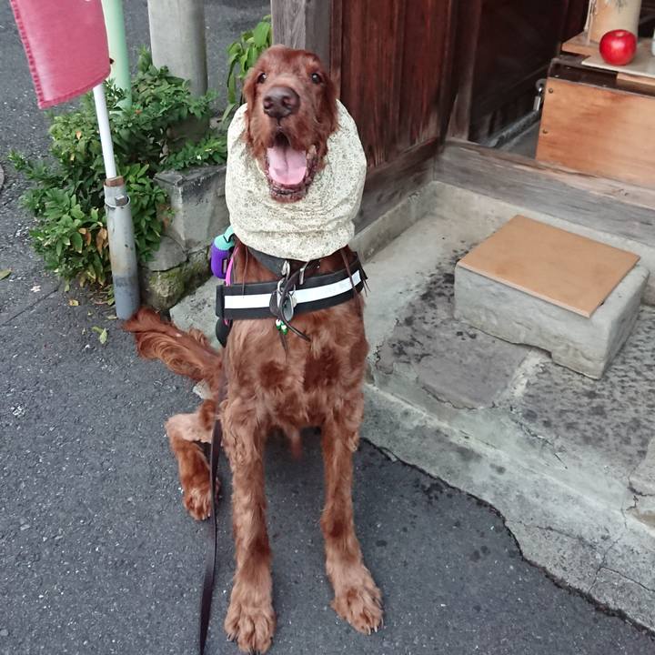 D93ec82d 8abc 4d77 84a5 86ece3164d5a 1604391581620