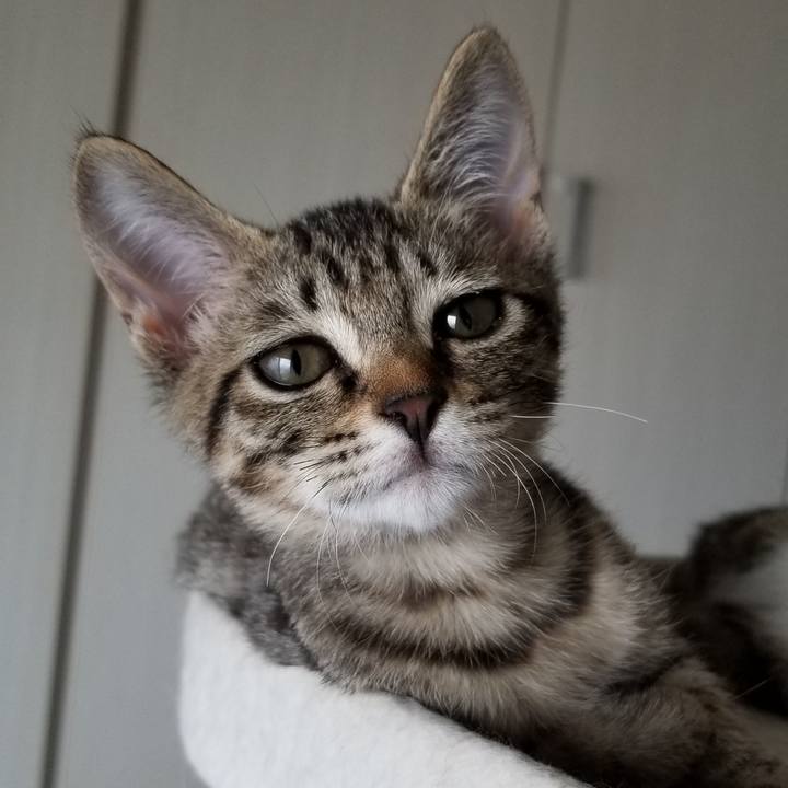 D93f2ce2 69d2 4d84 a4db 884db3937502 1537606864207