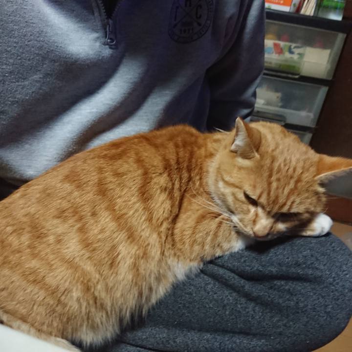 D93f3314 ef85 4539 b465 dfc5bdba5d29 1607938363355