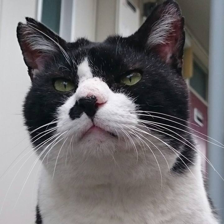 D93f57b1 7bbb 461f b66b b88c5a03fcaf 1511502109523