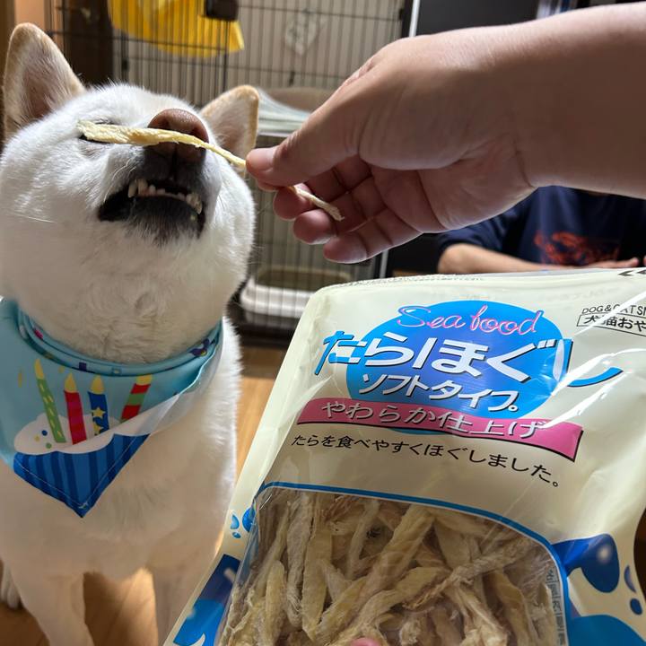 D93f7b94 09dc 4e0b 8be5 307c83bb7173 1680006673037