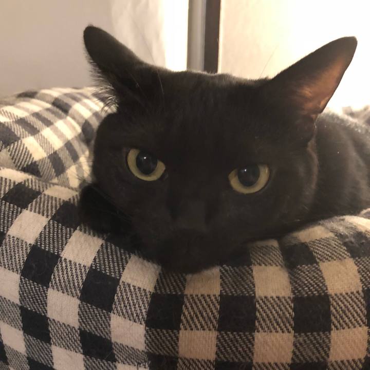 D93f7ede bb4a 4749 898d db451606d9c0 1536032475712