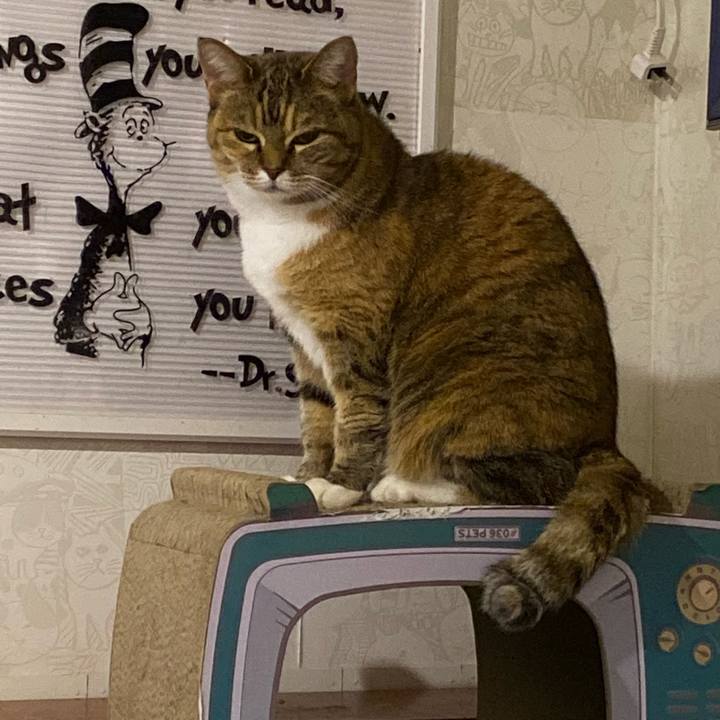 D93f9d62 7352 4f97 ab59 e163df61a54e 1670160232690