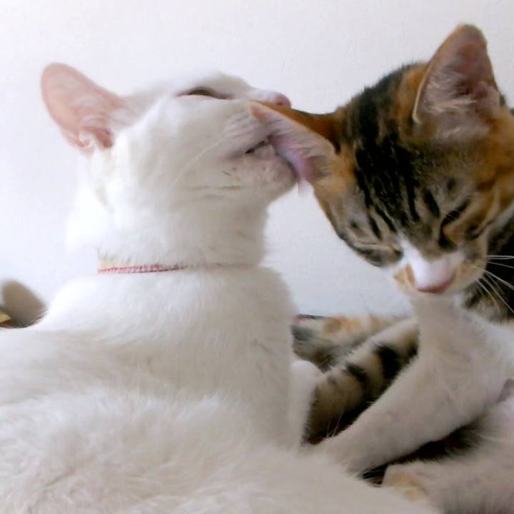 D93fa690 a796 4591 8ec2 1e2036be7f5e 1633050381642