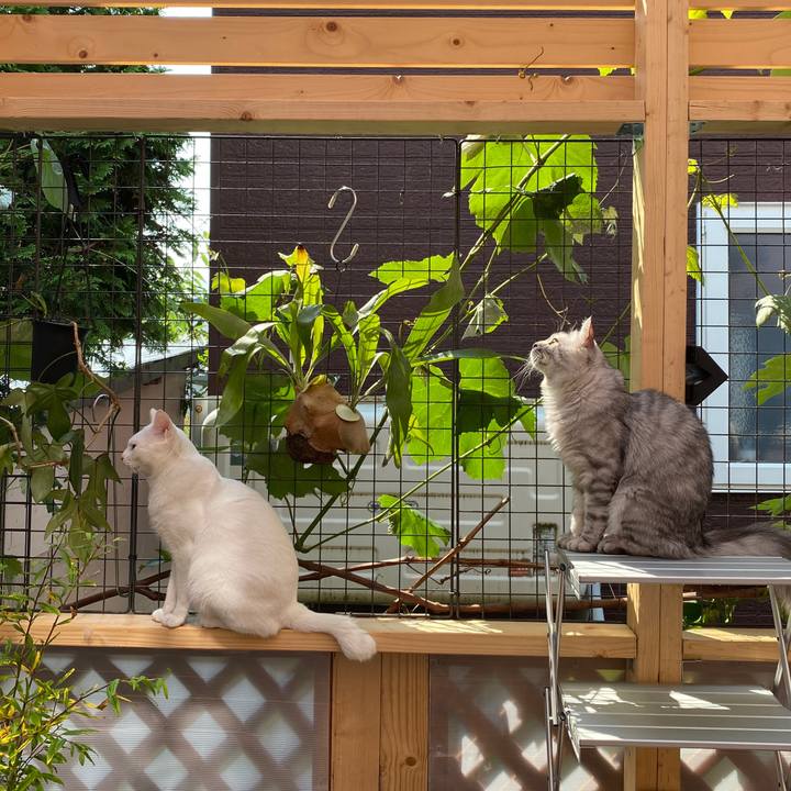 D93faec5 1fc2 49f8 9e7b 1a46033e345a 1724296687953