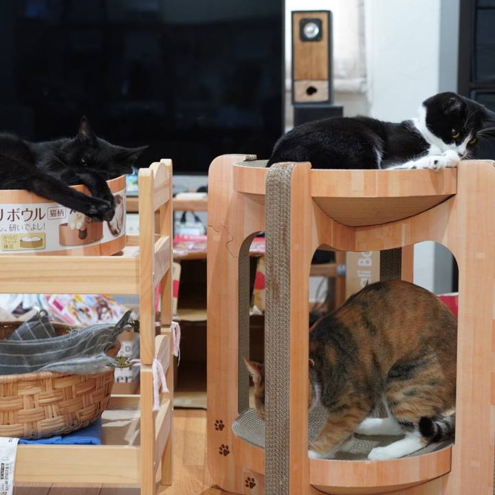 D93fd1ab 51c2 420f b3d1 e2c613739349 1624438685050