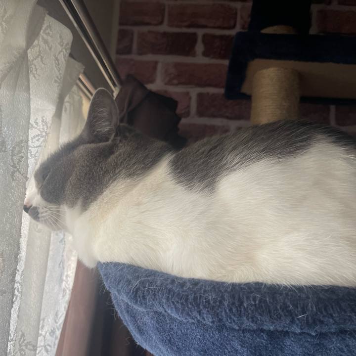 D93fe9cd 65ae 41b0 b046 267394867776 1674686877343