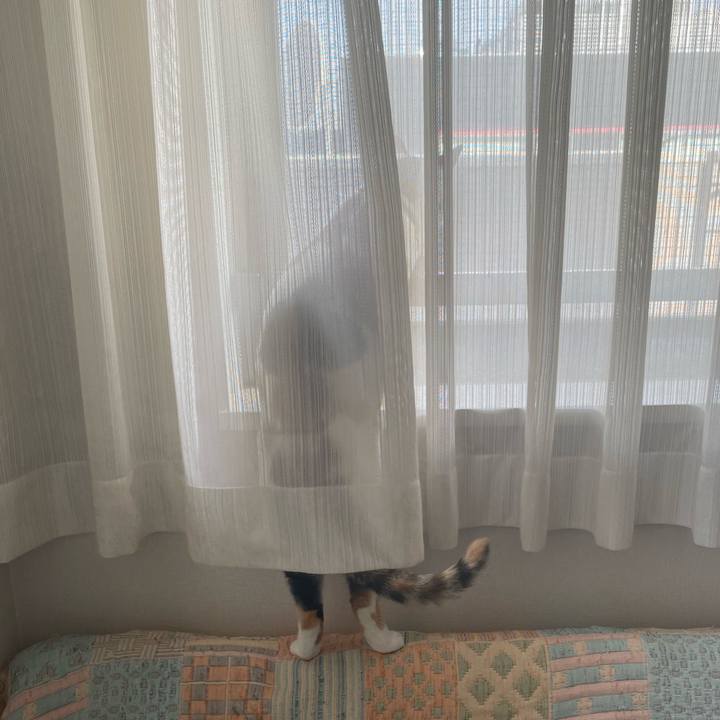 D9408c98 c96a 4ed8 b176 7c6cd4a6110d 1648424278577