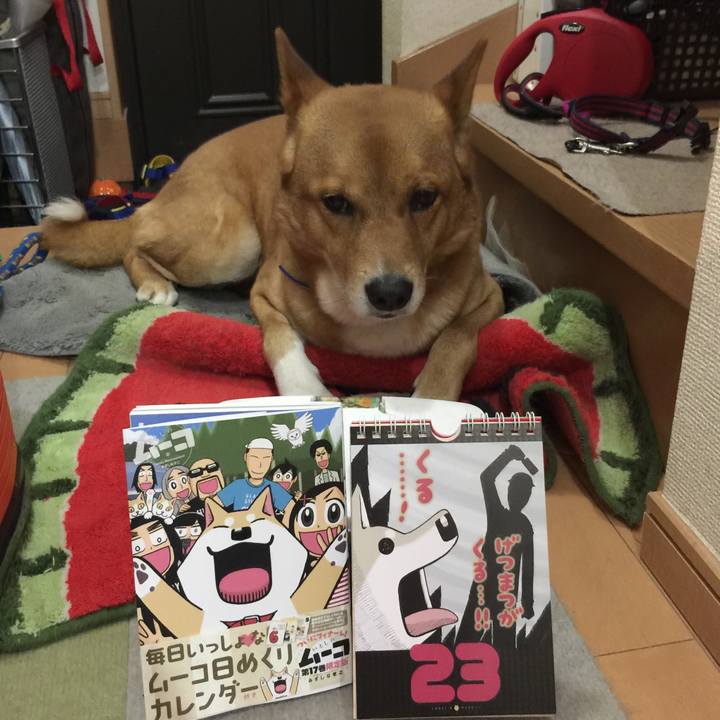 D940adbc 6d3c 4eea 800e 949a61e17090 1606131599339