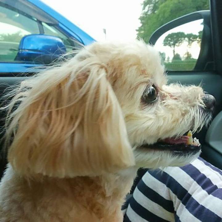 D940cbe5 1c13 4d3a a924 9d66be6e3dd4 1563958435468