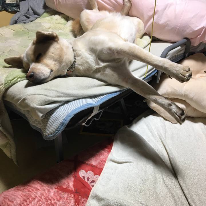 D940f639 725f 4ecd 8b67 3c9df19abfa8 1516491802688