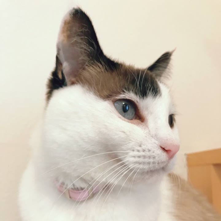 D9410e7c 781e 472e 9982 eae4ec487028 1518074743440