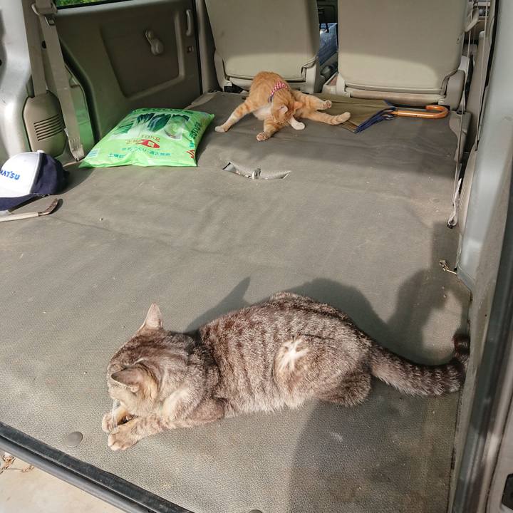 D9417497 8f5c 45eb 9514 aa79622263d4 1559266875362