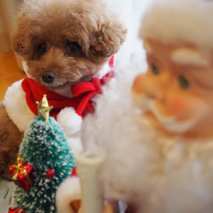 D9418dc9 d10f 4d96 b4b6 6ad2b3c66efb 1513480205377