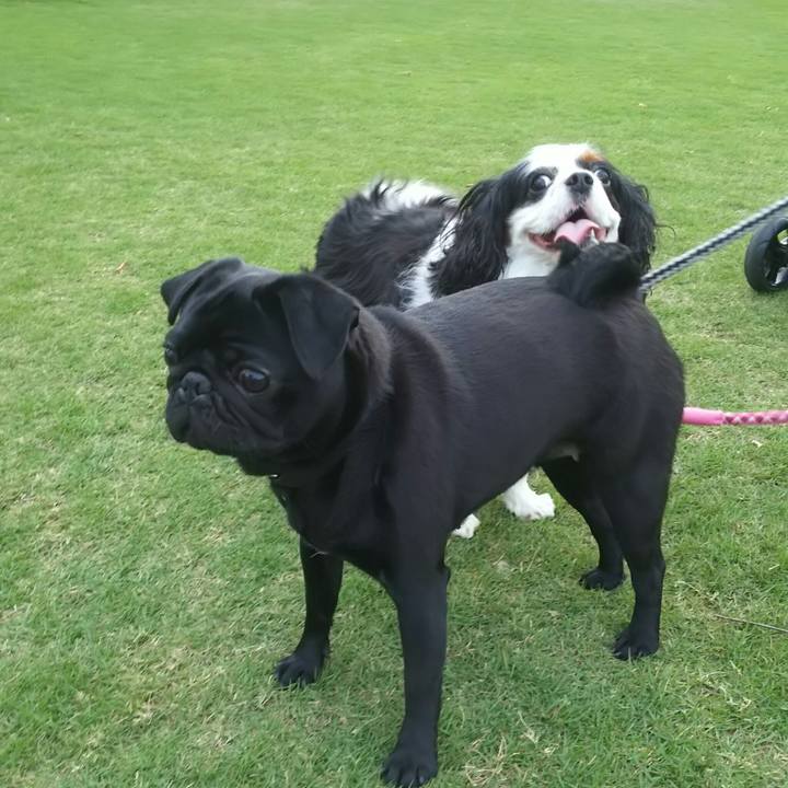 D94199dc 49ea 4b53 bda1 13ddc1ddc261 1528971173462