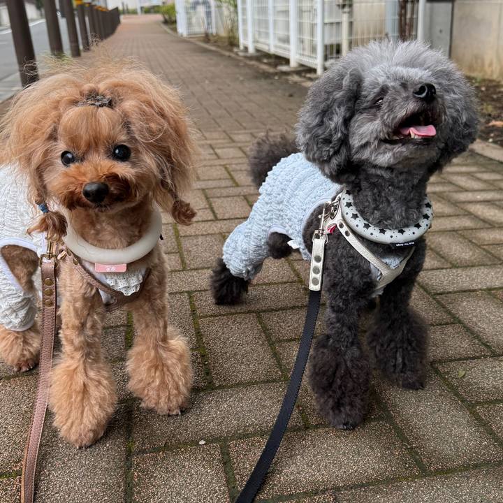 D941a1a1 09c2 4e90 a868 5fd375492a8d 1756163073847