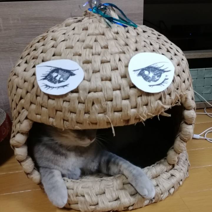 D941b010 66ba 4ea3 a5f4 ec3847870baa 1545917044352