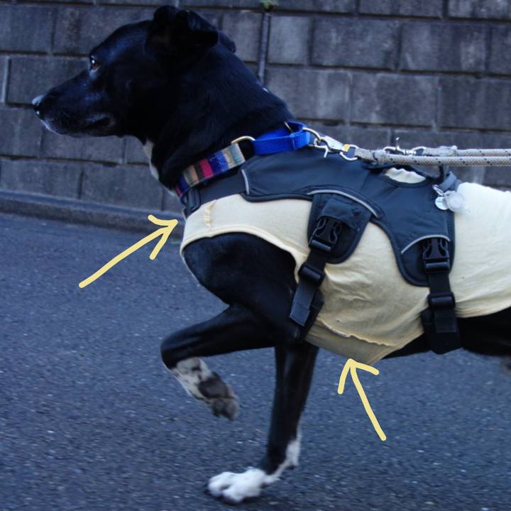 D941e605 56c1 456d 81fb 18191fd5b975 1645493749410