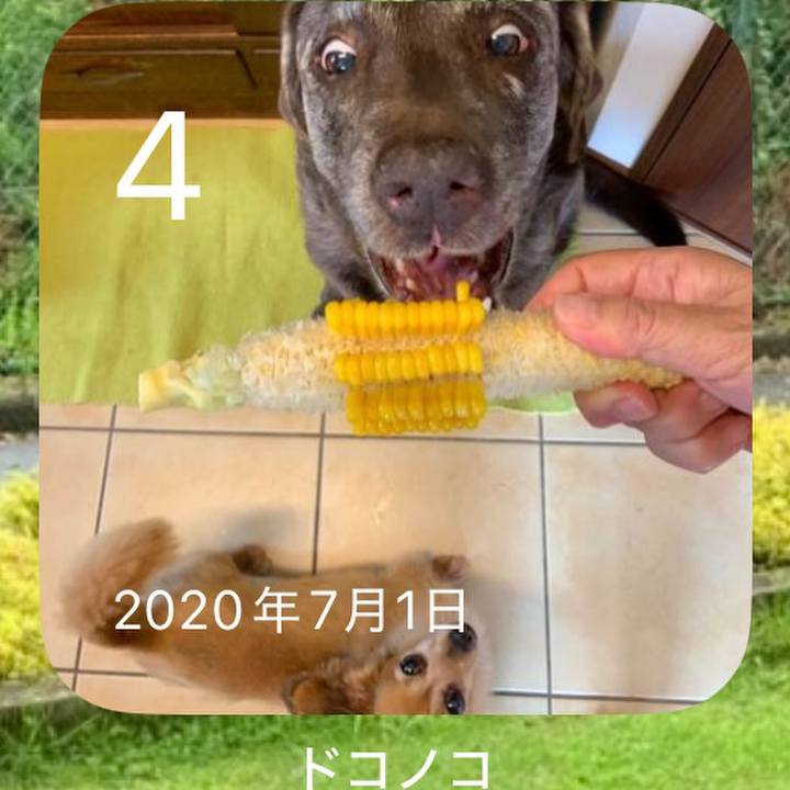 D941e68c b195 4419 ba80 5905738bb095 1751581811378