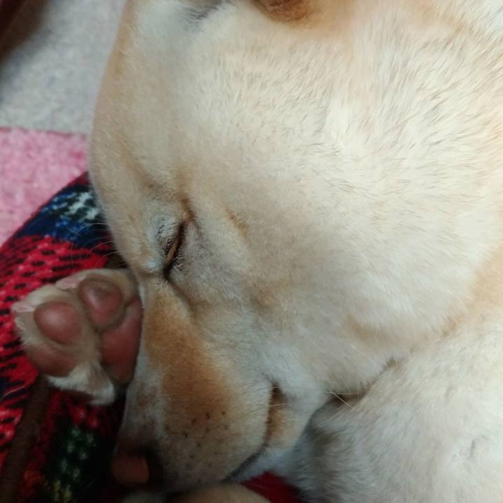 D941f843 05ff 46c6 a939 a3262bd8efb2 1521892563055