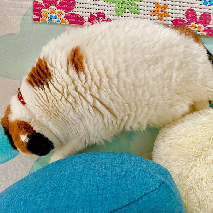 D9421458 b7a8 4fef aa87 4d4e8152e18c 1637865427332