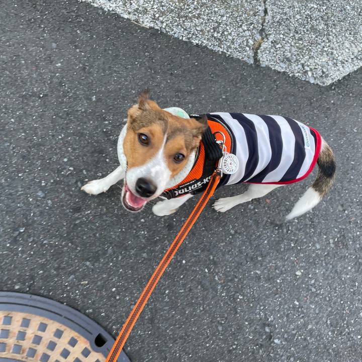 D942185f 7961 4016 9941 2c3396135d60 1689638429028